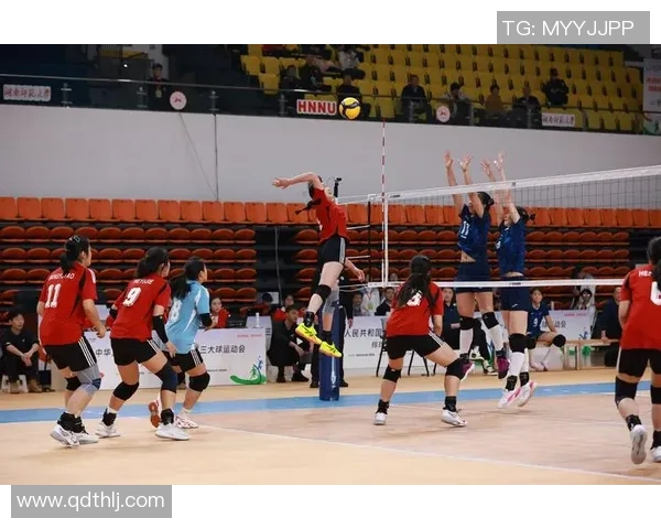 赛后复盘:广州排球队 vs 重庆排球队的灵活性