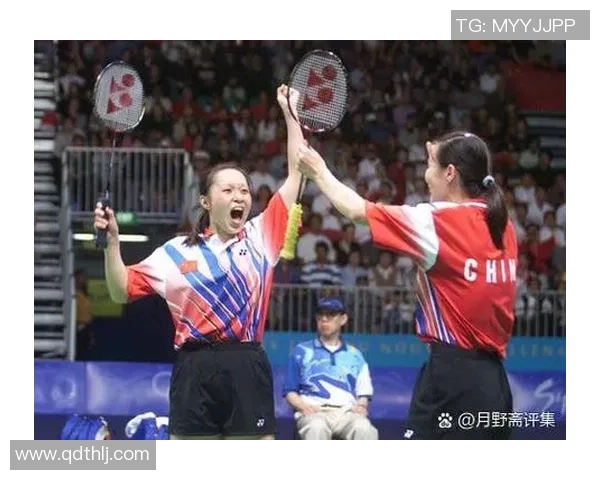 羽毛球热议:南京羽毛球队的配合争议