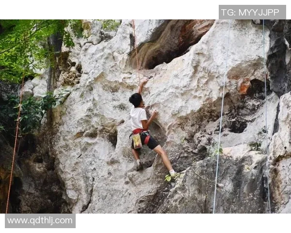 攀岩深度：解密南京攀岩队的控制